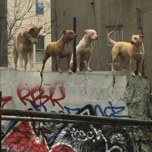 Meet your Posher, Derek